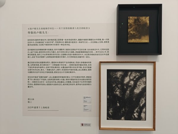 盈通策略 上海植物园《植物学通信》展开幕，来看11封写给大自然的信